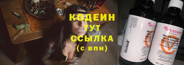 a pvp Бородино