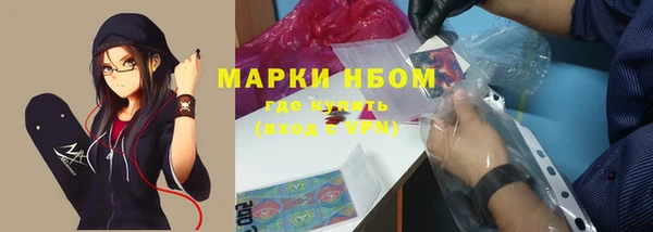 a pvp Бородино