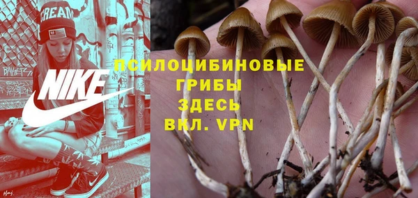 стафф Бронницы