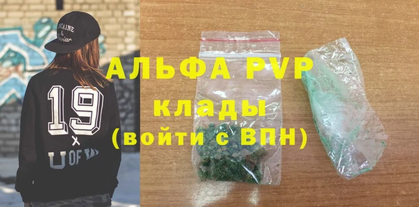 a pvp Бородино