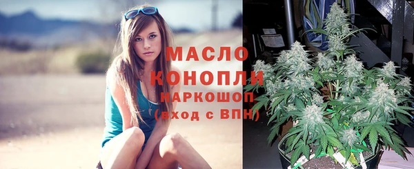 a pvp Бородино